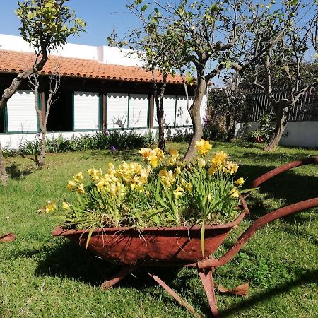 Casa Rural Limon Y Sol Sauzal Exterior foto