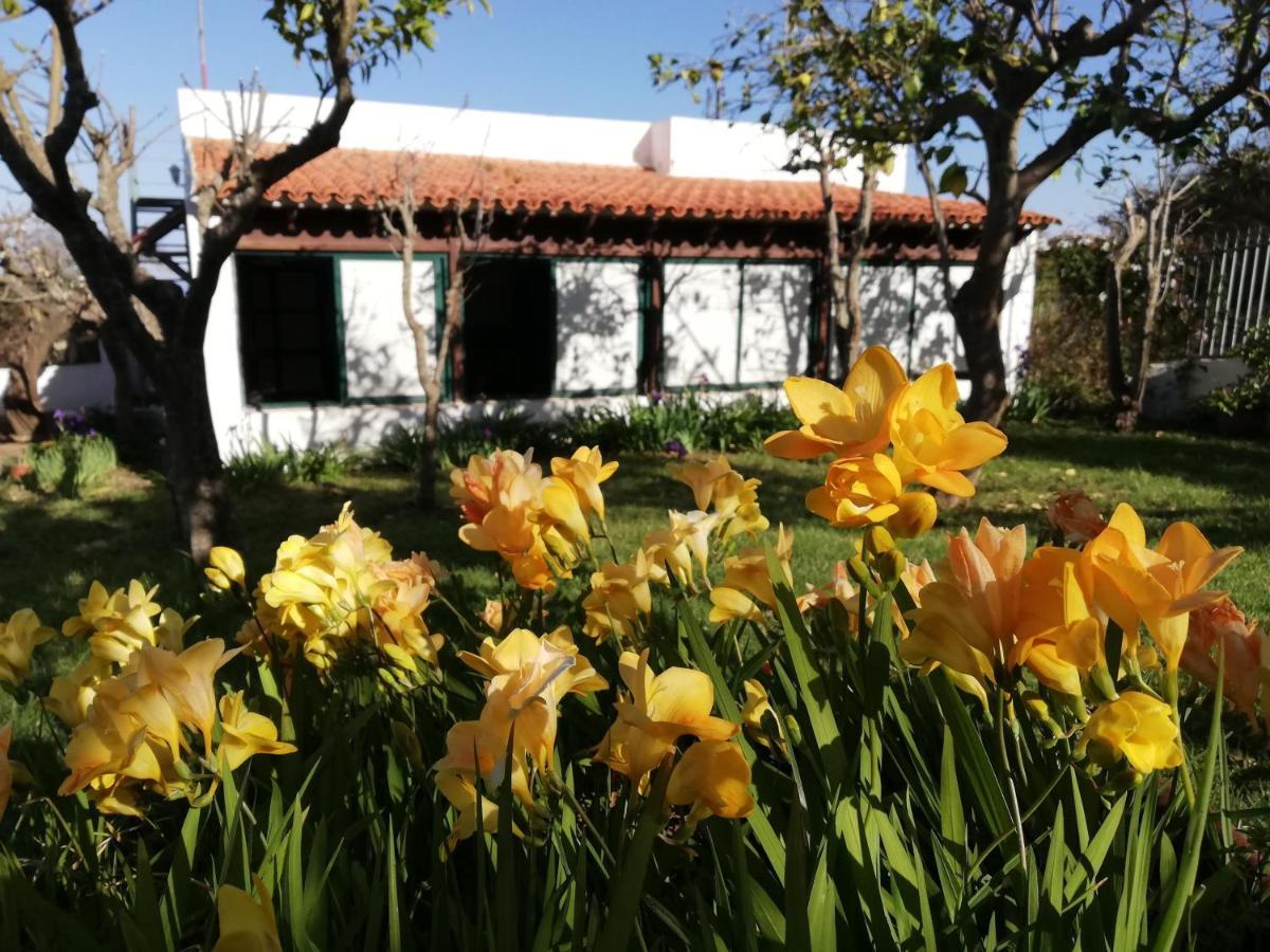 Casa Rural Limon Y Sol Sauzal Exterior foto