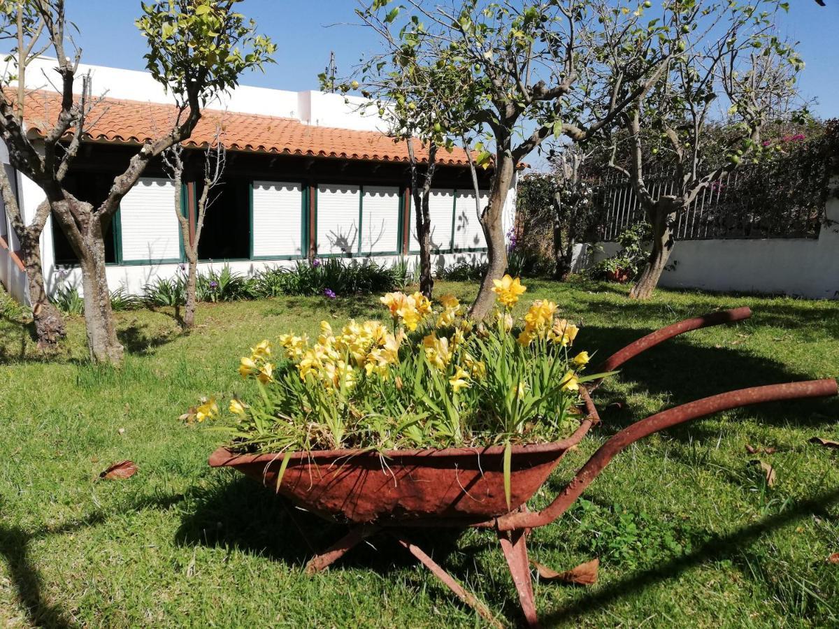 Casa Rural Limon Y Sol Sauzal Exterior foto