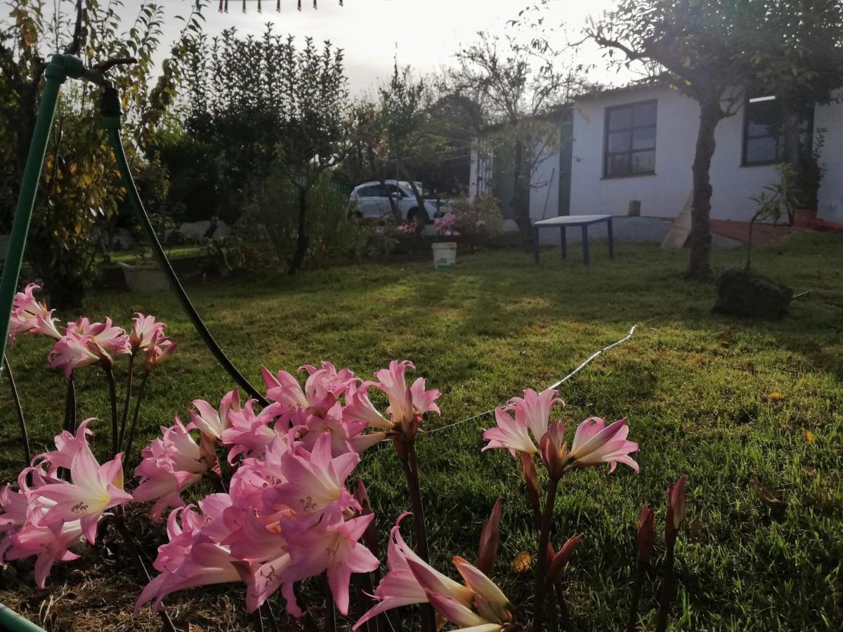 Casa Rural Limon Y Sol Sauzal Exterior foto