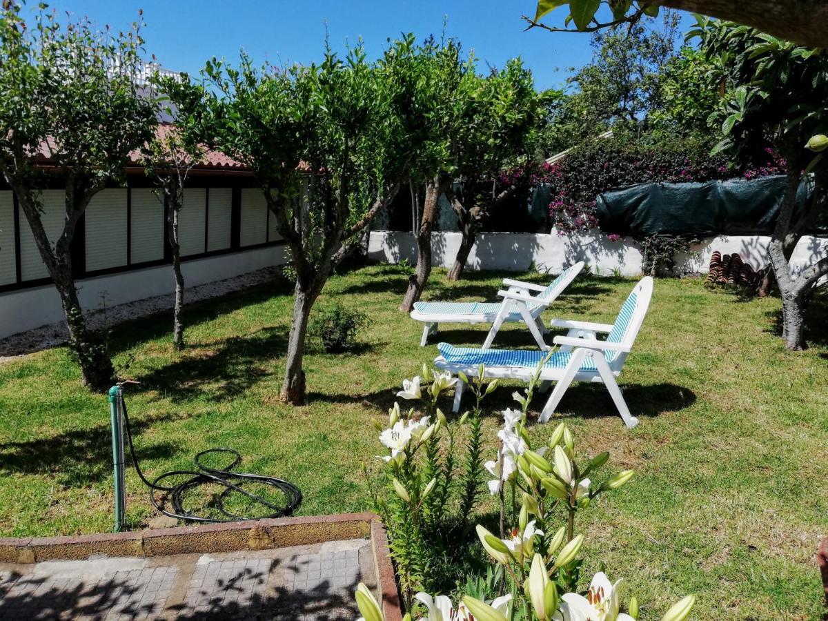 Casa Rural Limon Y Sol Sauzal Exterior foto